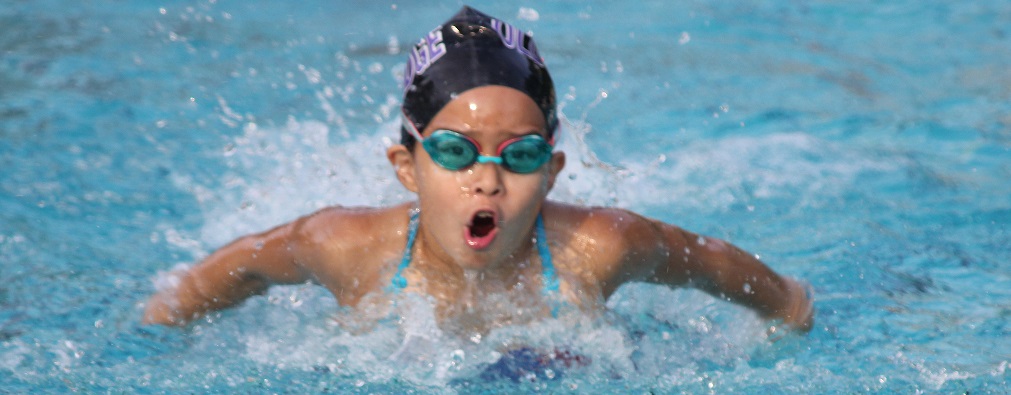 Summer Swim Team - YMCA of Greater Monmouth County. 